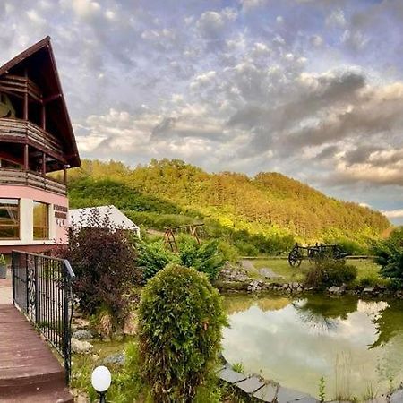 Pensiunea Armonia Nădăşelu Bagian luar foto